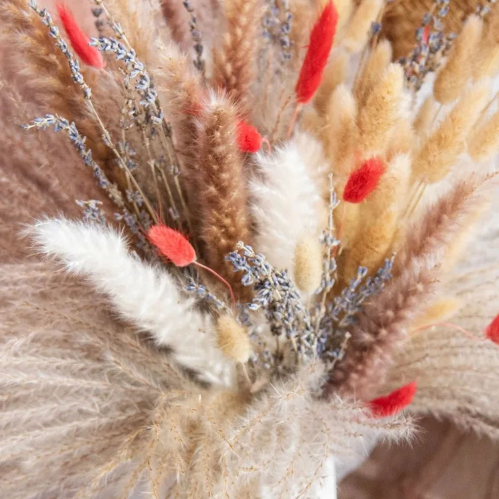 Naturalny bukiet z suszonych k – Pampas Grass Decor recenzja i cena