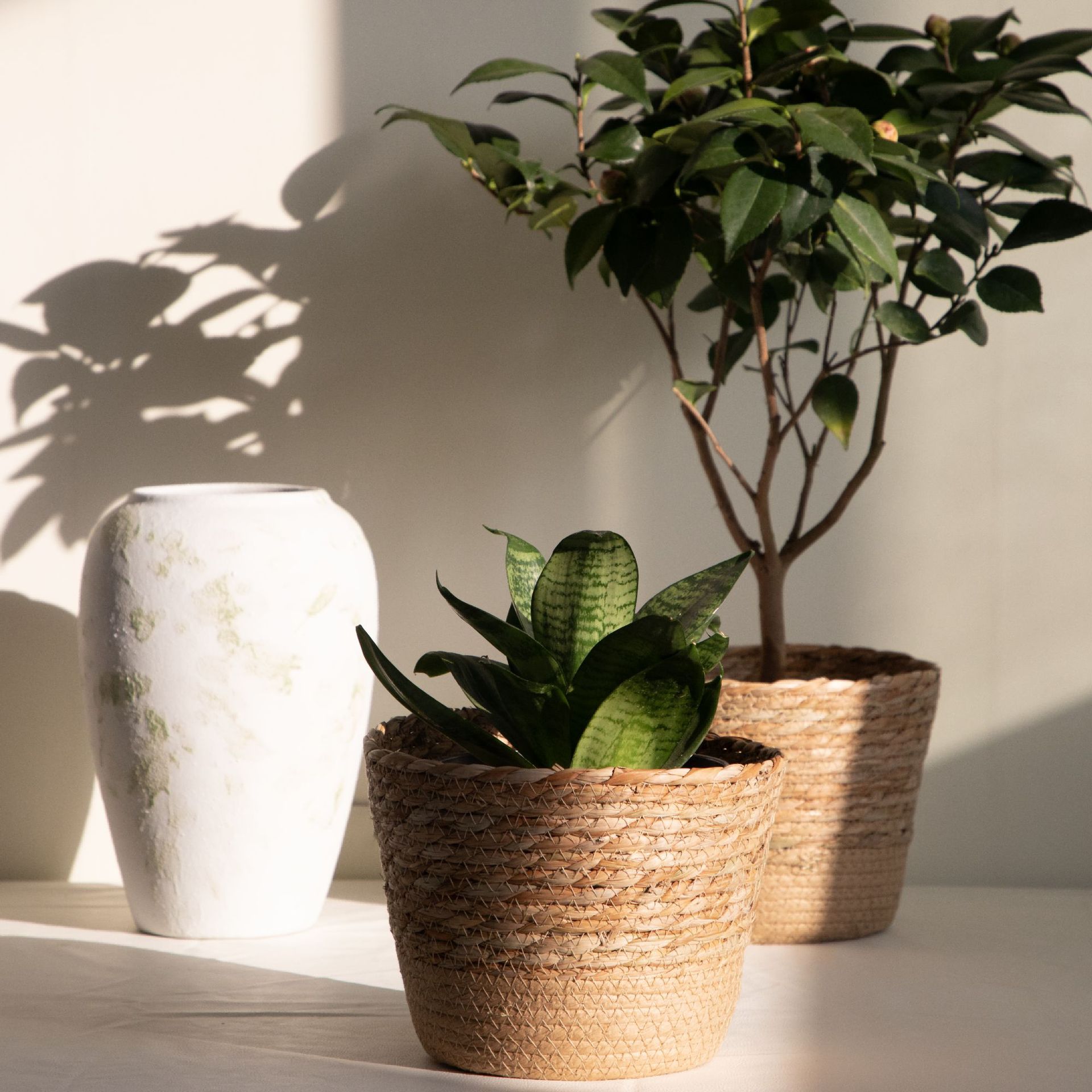Wielofunkcyjny Tkany Koszyk do – Rattan Plant Basket recenzja i cena